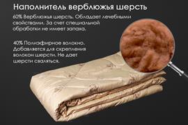 Одеяло верблюжья шерсть тик п/э Реноме