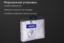 Одеяло бамбук микрофибра Реноме